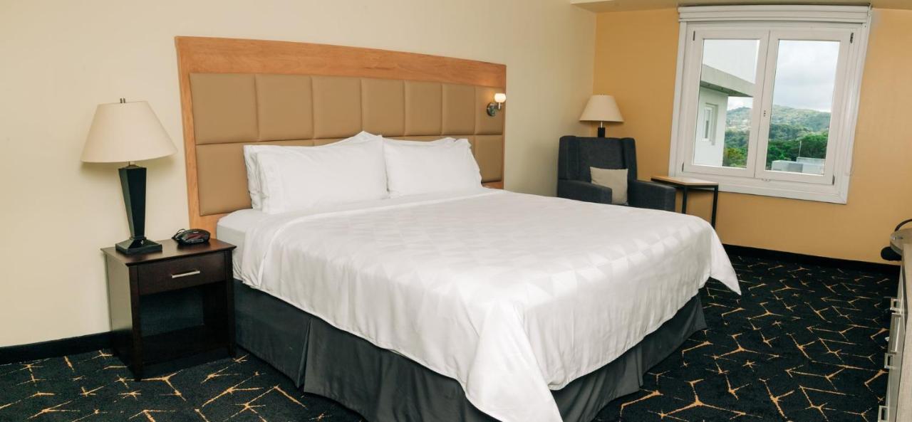 Holiday Inn San Salvador By Ihg מראה חיצוני תמונה